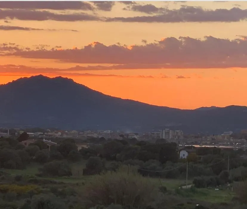 Moys Apartment Sea View Olbia 0*,